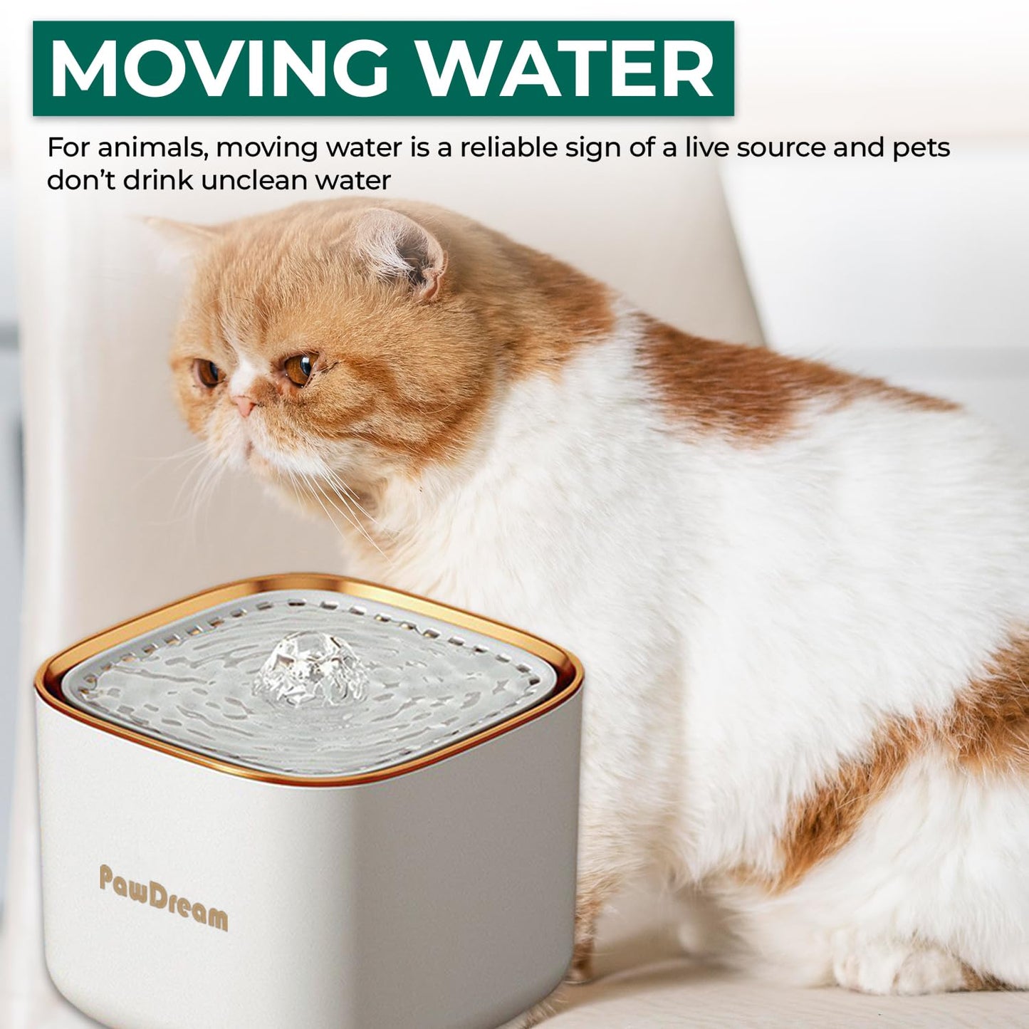 PawDream 3L Smart Pet Water Fountain