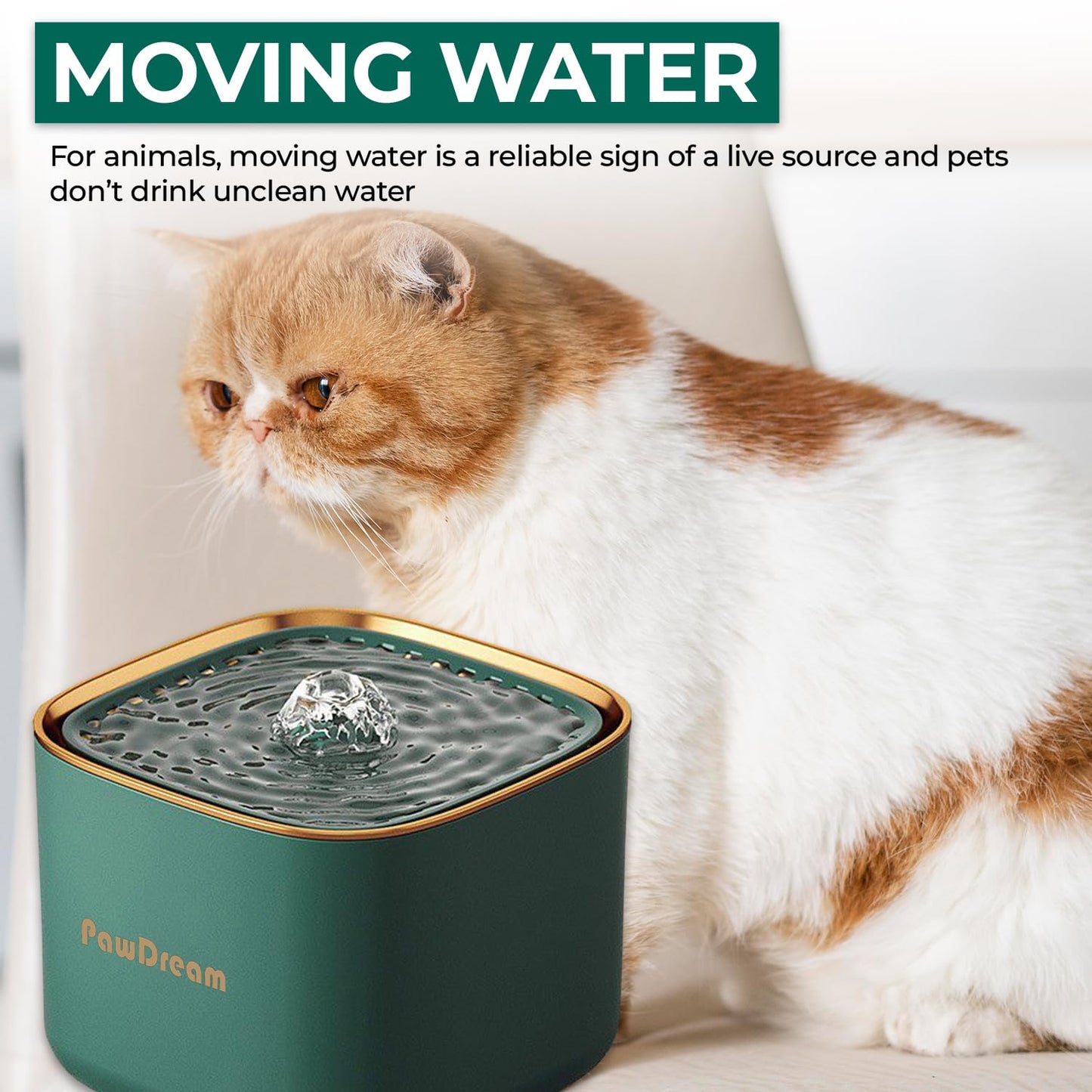 PawDream 3L Smart Pet Water Fountain